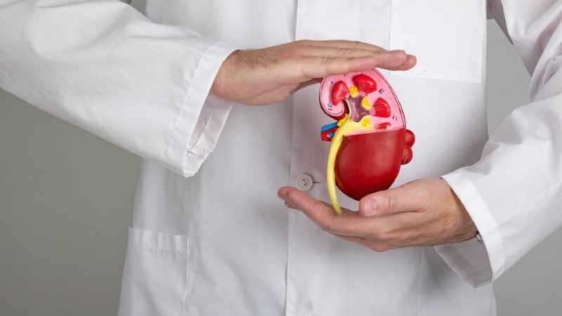 10 Easy Ways To Detoxify Your Kidney Health
