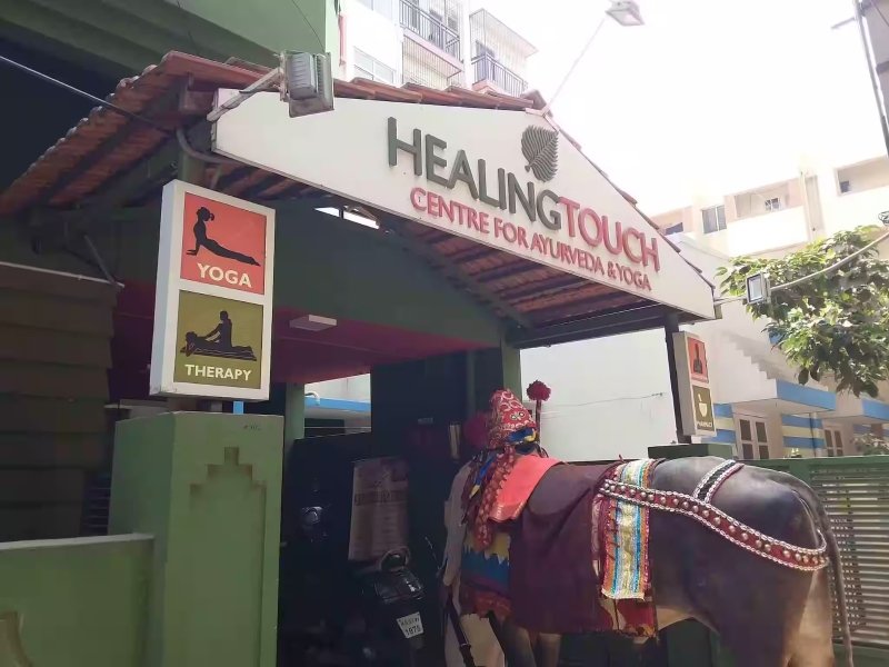 HEALING TOUCH CENTRE FOR AYURVEDA & YOGA