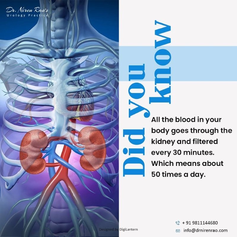 Dr. Niren Rao Urology Clinic